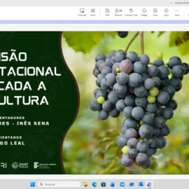 Imagem5